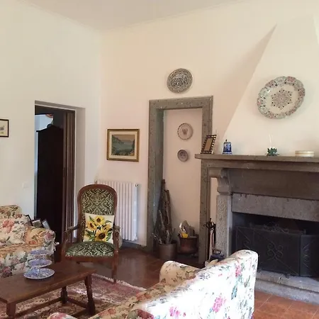 Quadrifogli Vetralla