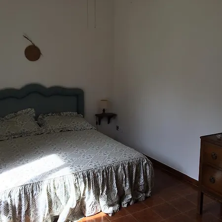 Quadrifogli