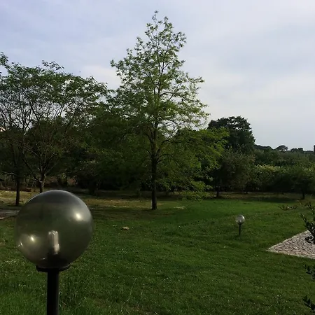 Quadrifogli * Vetralla